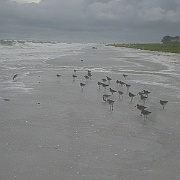 Picture 056